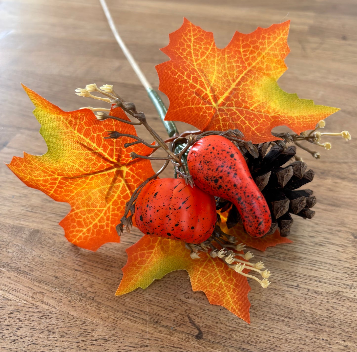 Autumn Leaf Pic