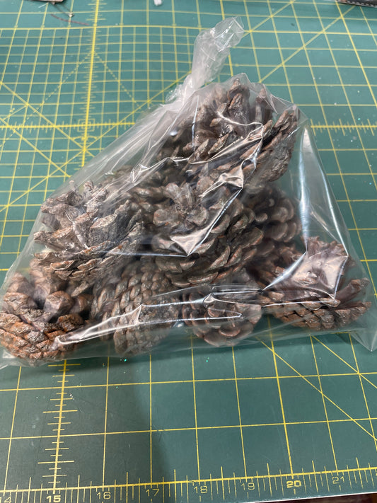 5 - 7cm Silver Pine Cones - 10 in a bag