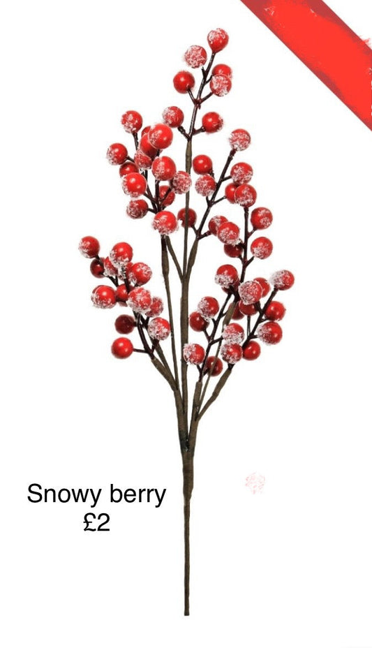 Xmas Snowy Spiced Berry Stem