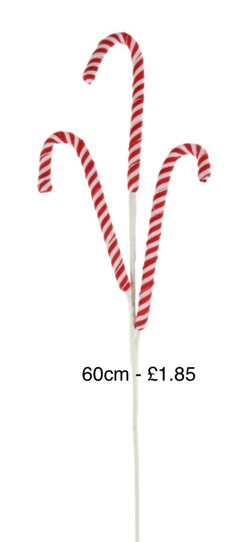 Xmas candy cane pic