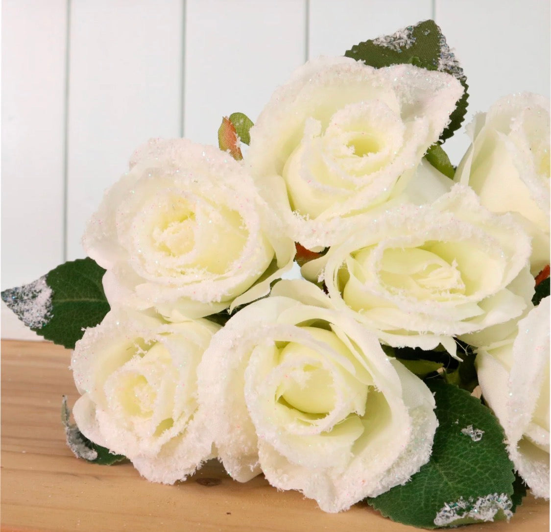 Frosted Cream Roses Hand-tied
