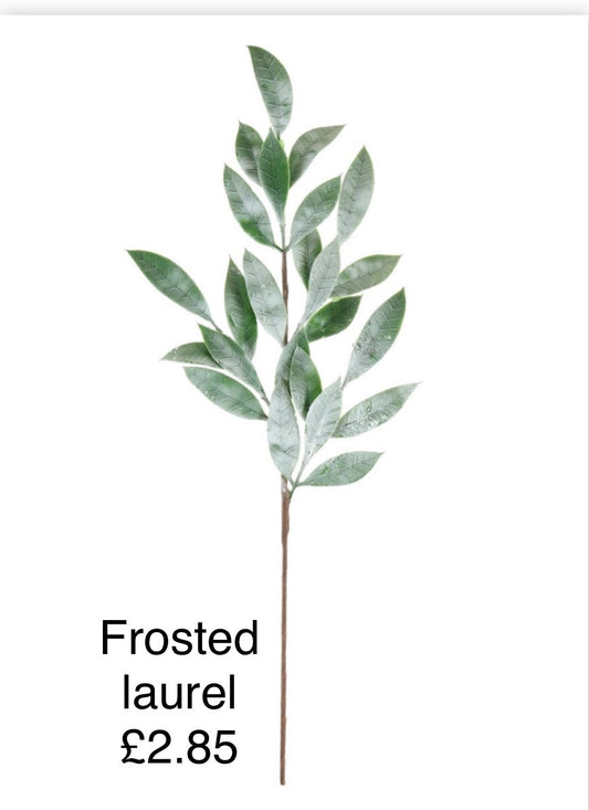 Xmas Frosted Laurel Spray