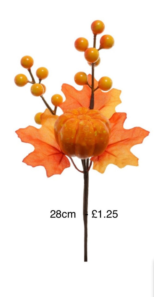 Autumn pic - 28cm