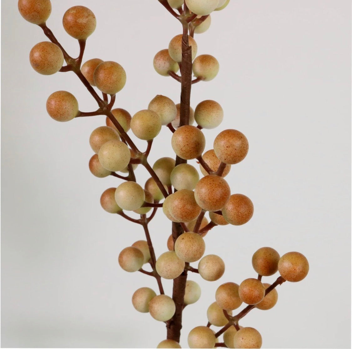 Seasonal Berry Pic Coffee 61cm