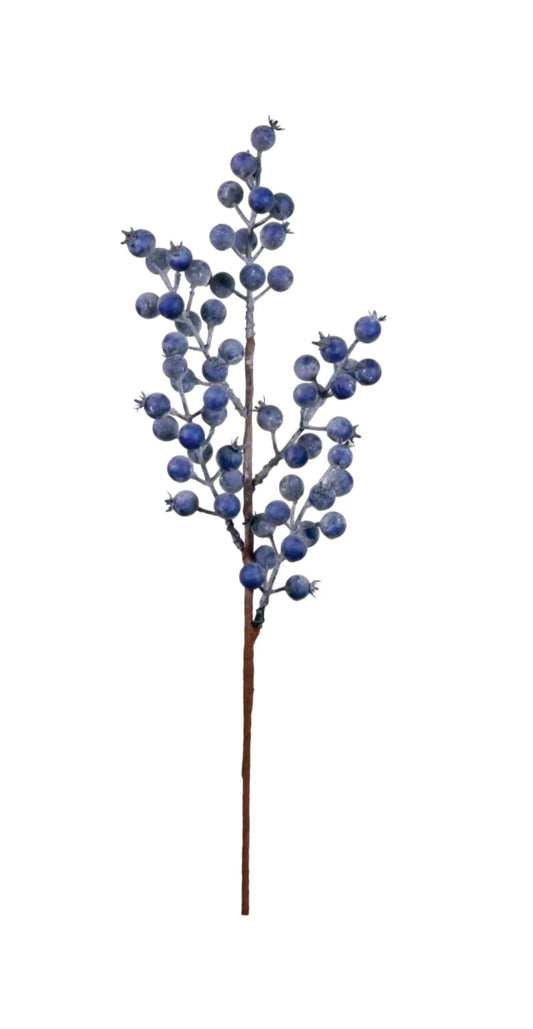 Seasonal BlueBerry Pic 58cm