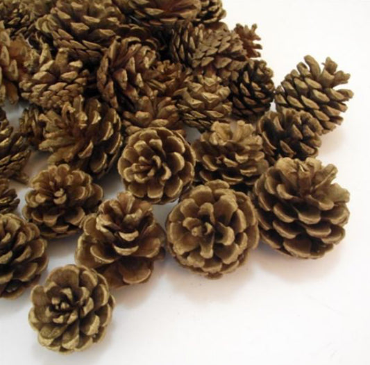 5 - 7cm Gold Pine Cones - 10 in a bag pic