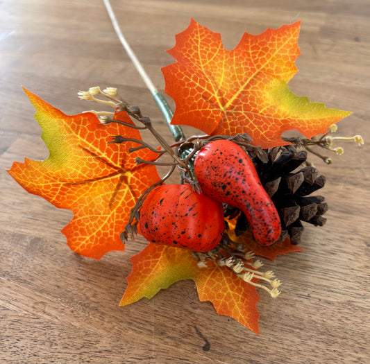 Autumn Leaf Pic